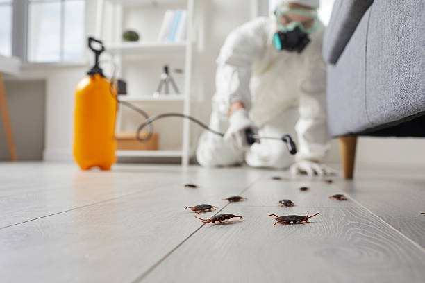 Commercial Kitchen Cockroach Control in Chattahoochee